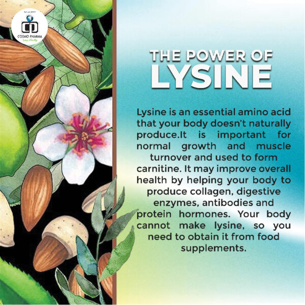Lysomin Syrup - Image 3