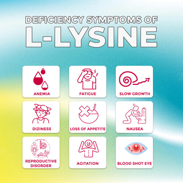 Lysomin Syrup - Image 5