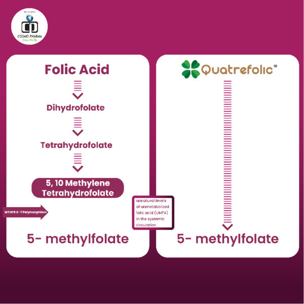 Foli-4 Tablet - Image 12